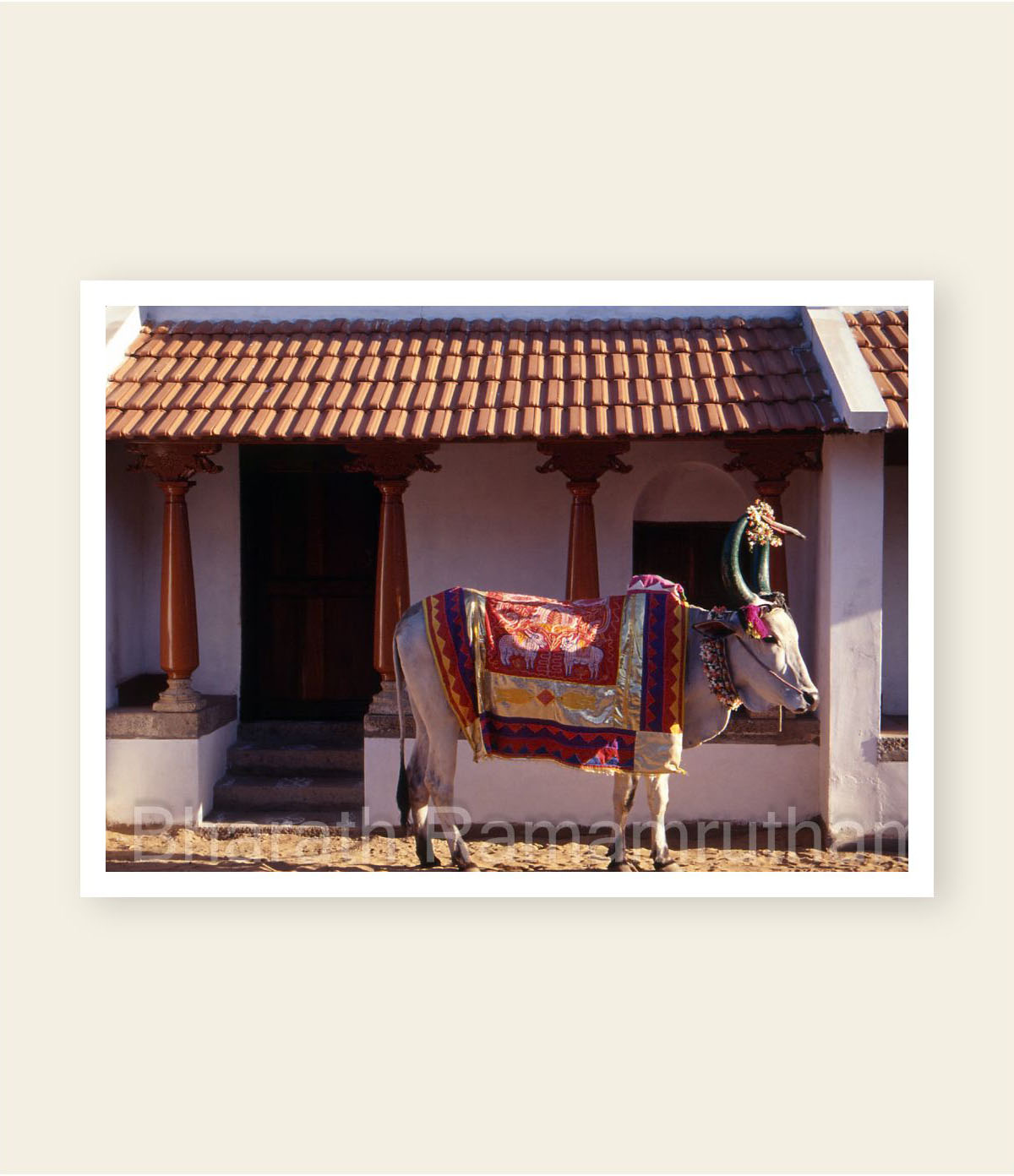 Indian Elephant Carving